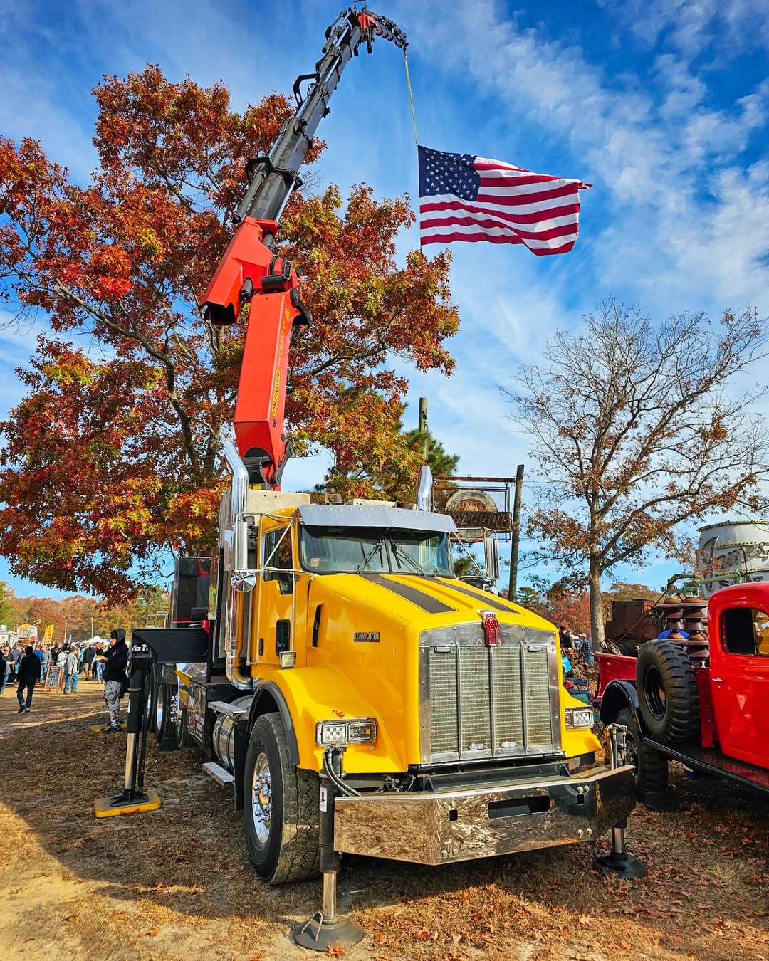 Crane-Assisted Tree Removal
