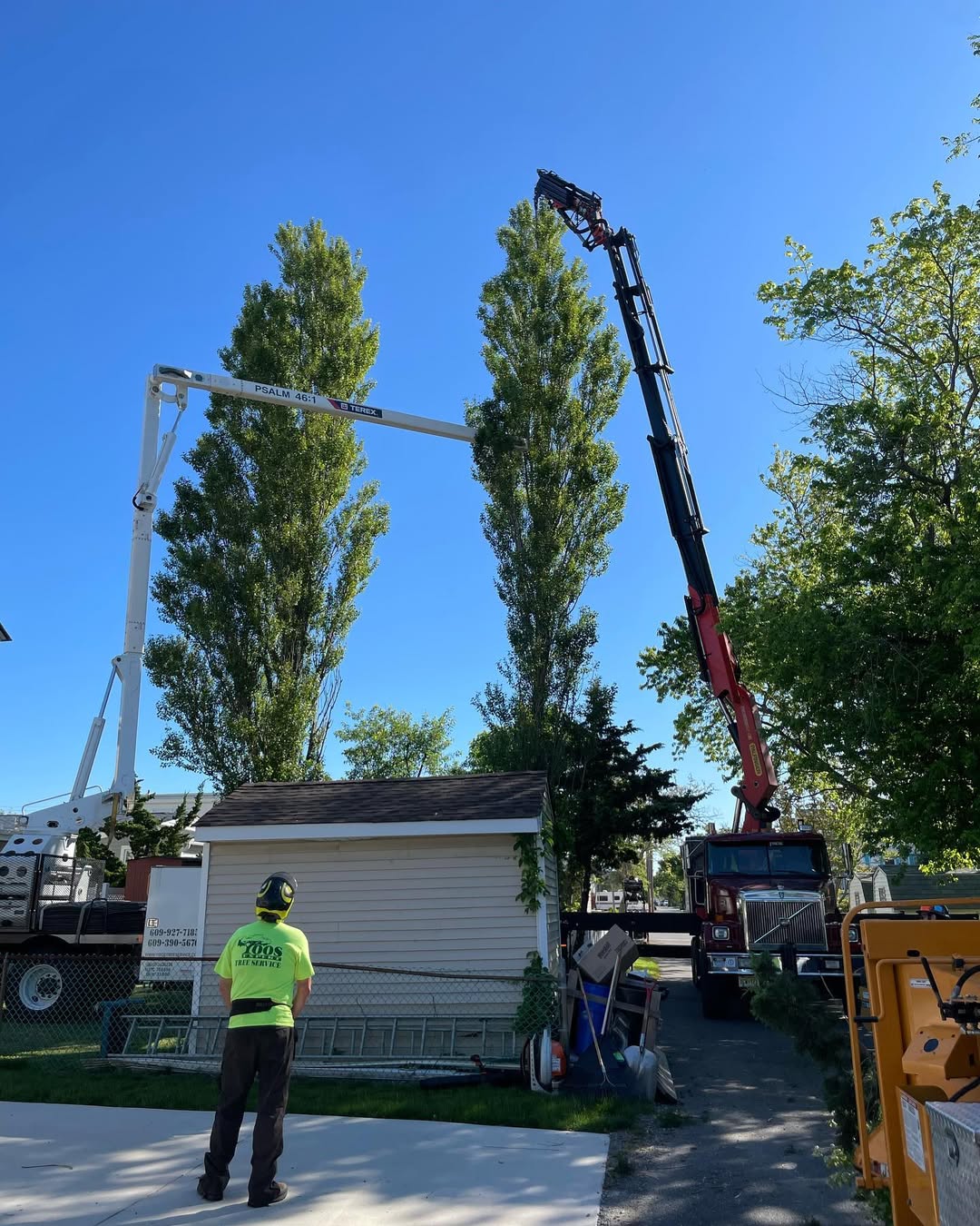 Crane Service for Tree Egg Harbor Township
