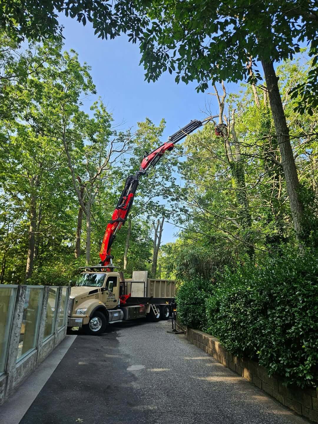 Crane Service