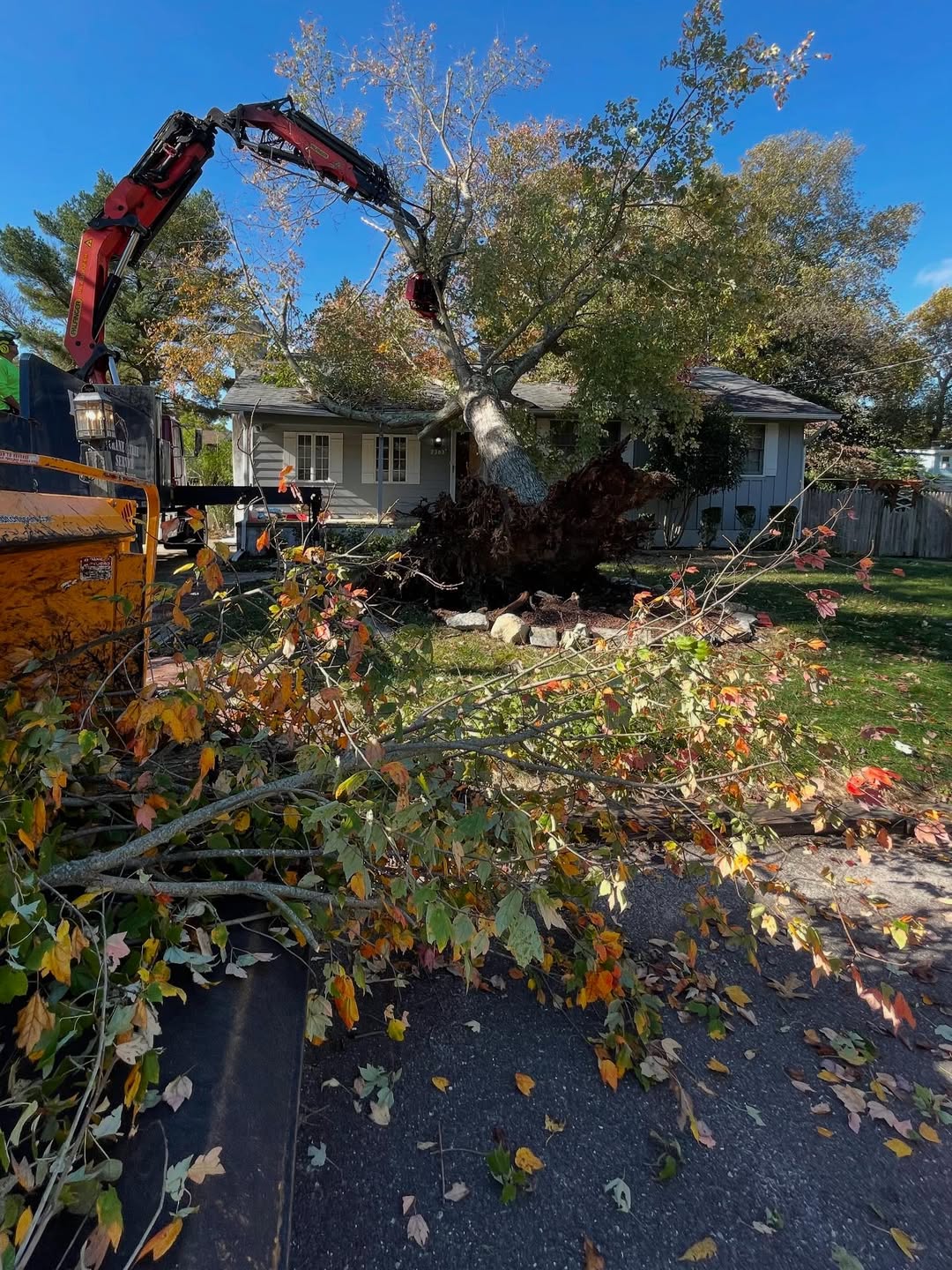Emergency Storm Damage tree removal service Egg Harbor Township
