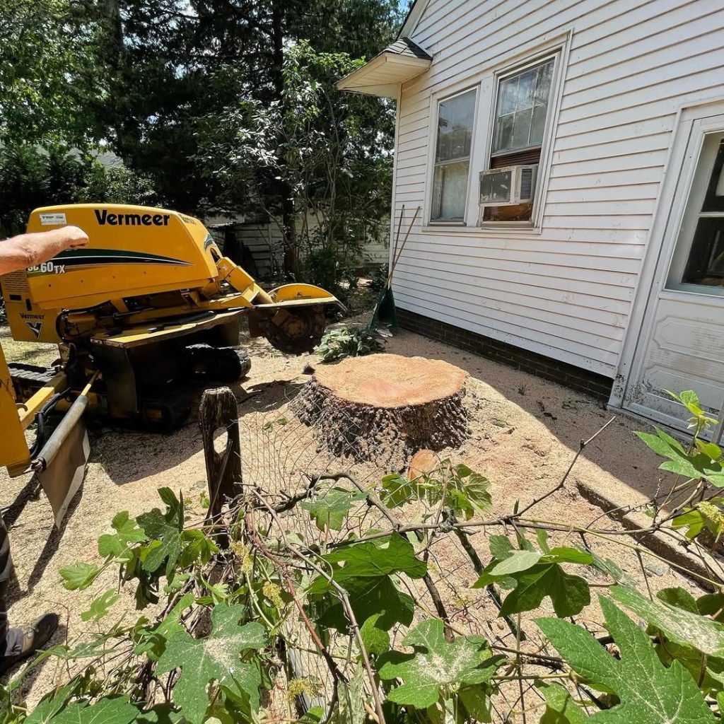 Stump Grinding in Egg Harbor Township, NJ