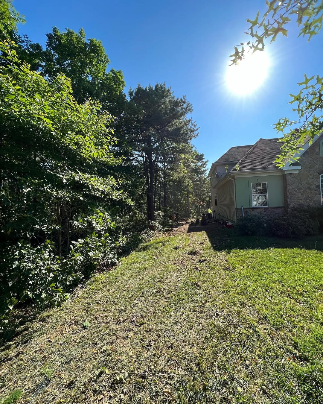 backyard clearing before