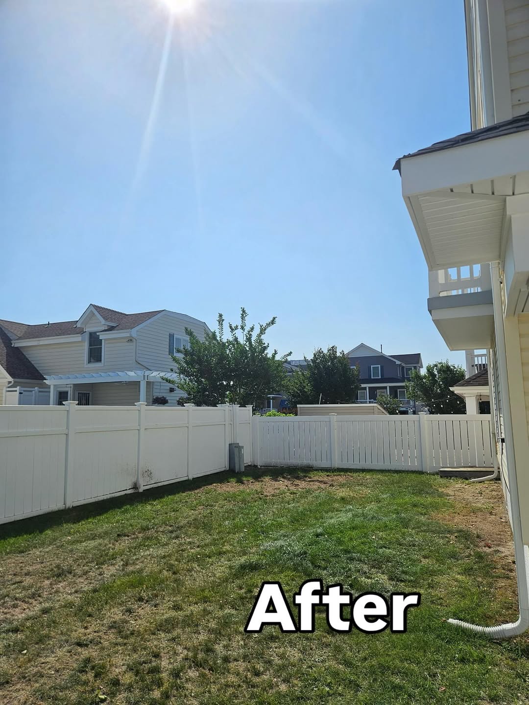 tree removal after
