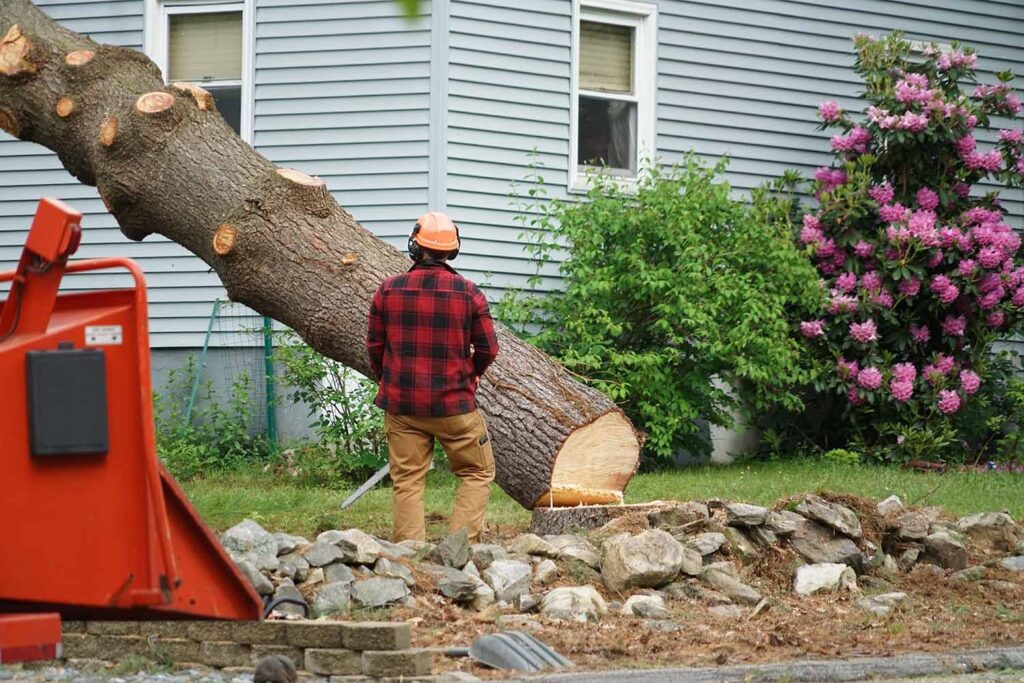 Why Hiring a Tree Service Company Matters​