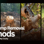 Best Stump Removal Methods in Atlantic & Cape May County: Local Tips and Guidelines