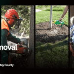 Tree Removal Cost in Atlantic and Cape May County: What Homeowners Should Know