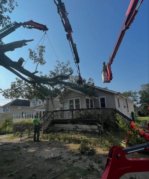Crane-Assisted Storm Damage Tree Removal