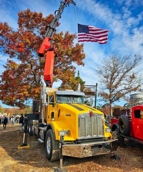 Crane-Assisted Tree Removal