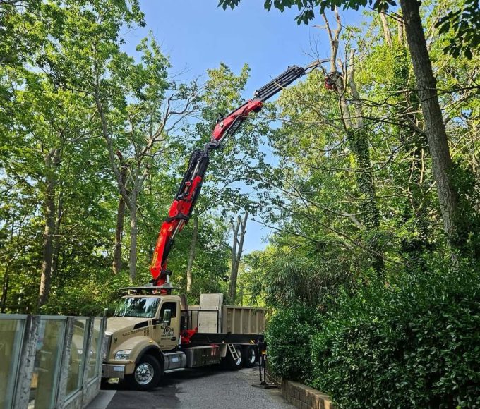 Crane Service