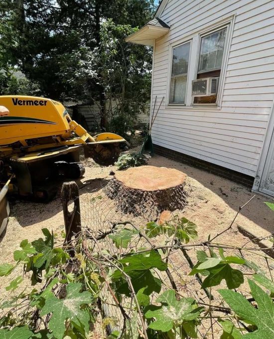 Stump Grinding service