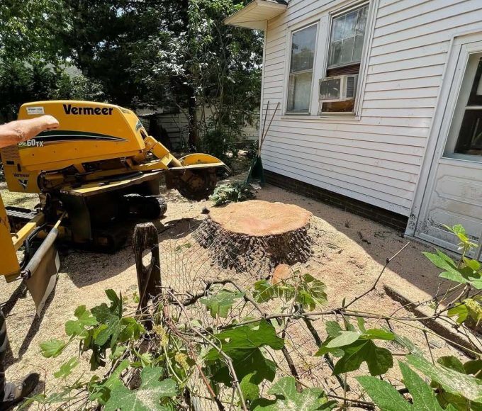 Stump Grinding service
