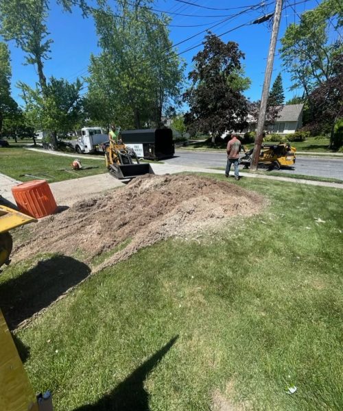 Tree Fertilization